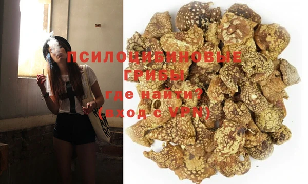 бошки Алзамай