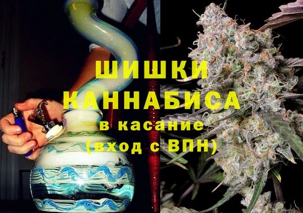 молекула духа Алексин