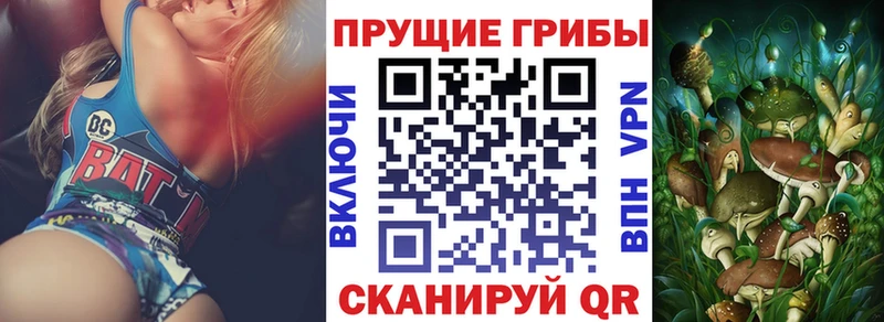 хочу   Белый  hydra ССЫЛКА  Галлюциногенные грибы ЛСД 
